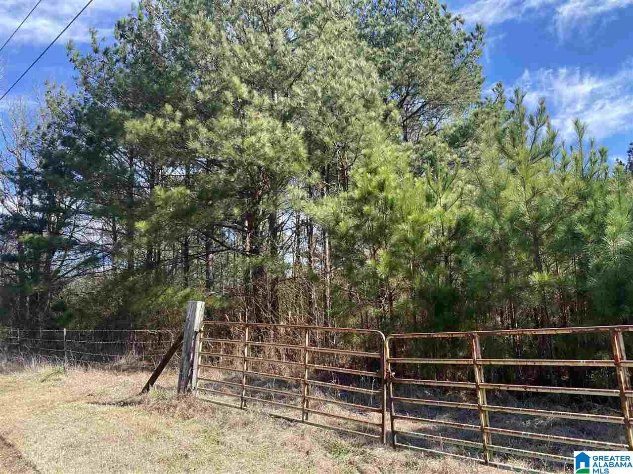 1560 Oren Miller Road, Unit 1 Warrior, AL 35180 - Photo 17 of 19