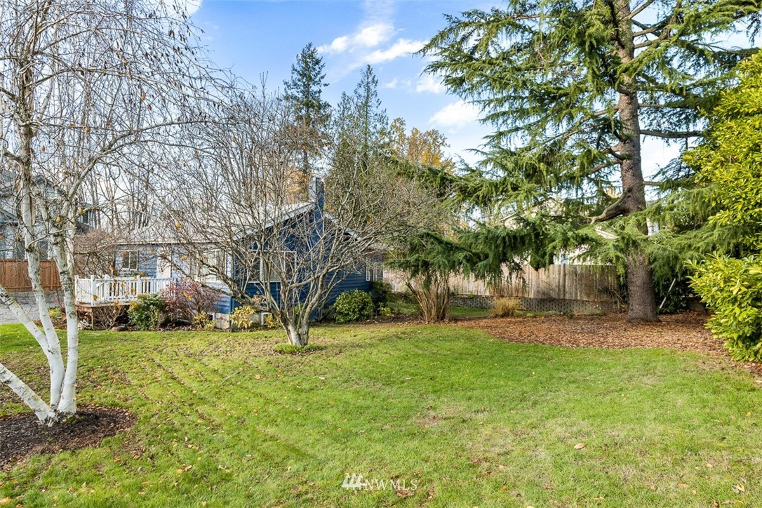 3037 Talbot Road South Renton, WA 98055 - Photo 4 of 29 a view of yard with tree