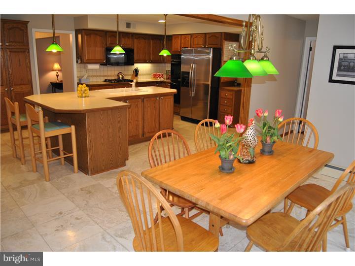 46 Peddrick Road Wayne, PA 19087 - Photo 4 of 25 Kitchen