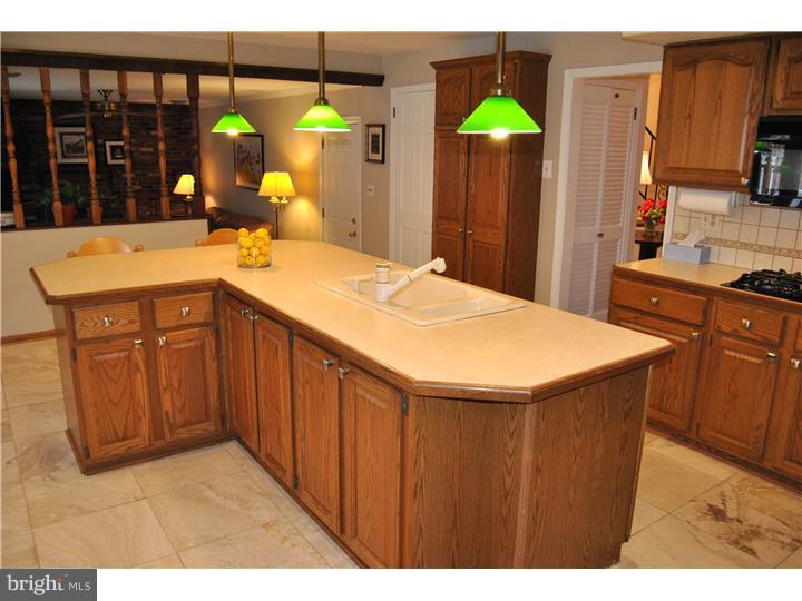 46 Peddrick Road Wayne, PA 19087 - Photo 6 of 25 Kitchen