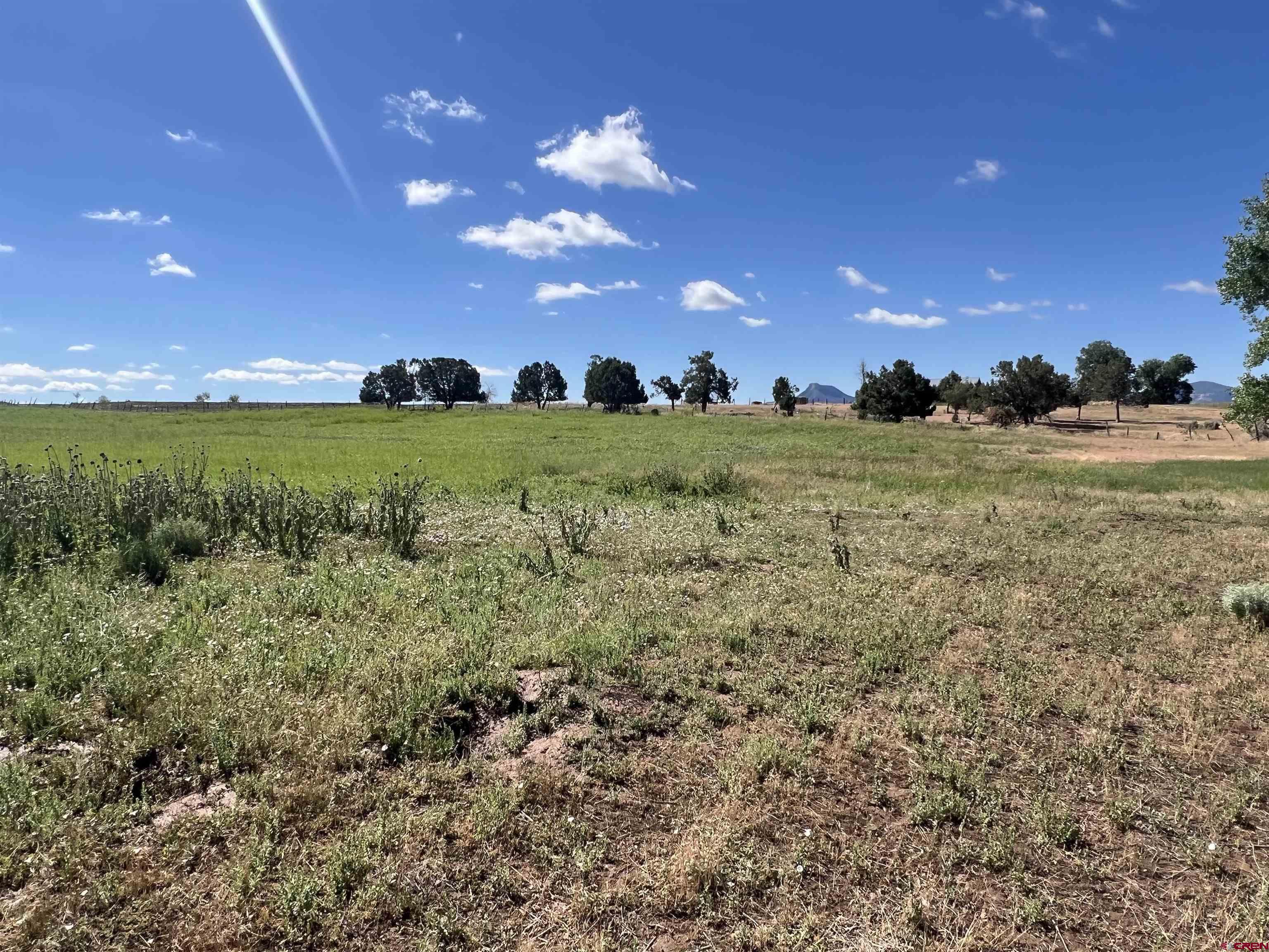 Lot 7 Road N 2 Mancos Co 81328 Mancos, CO 81328 - Photo 11 of 17 a view of an outdoor space and yard