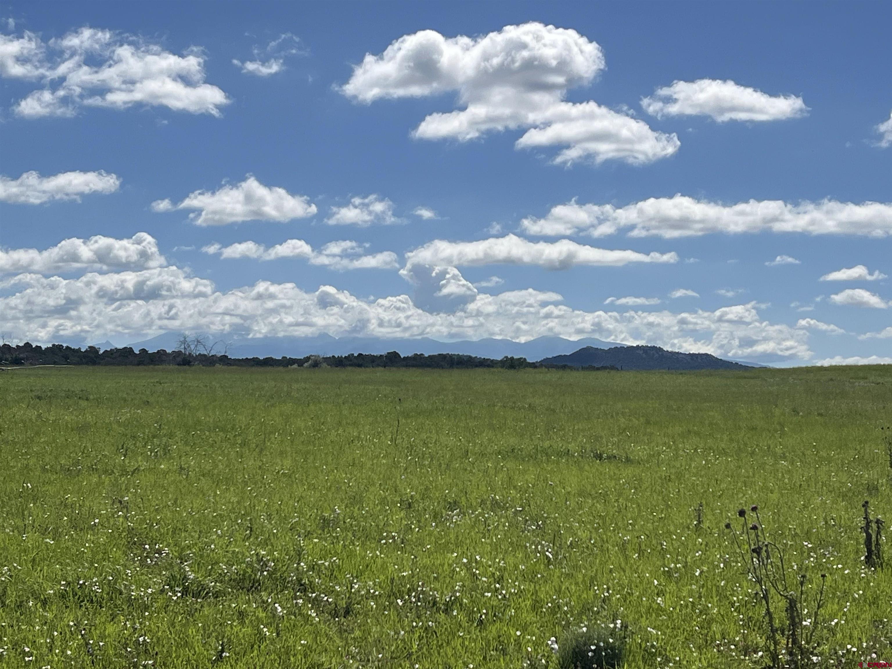 Lot 7 Road N 2 Mancos Co 81328 Mancos, CO 81328 - Photo 14 of 17 a view of an ocean and a yard