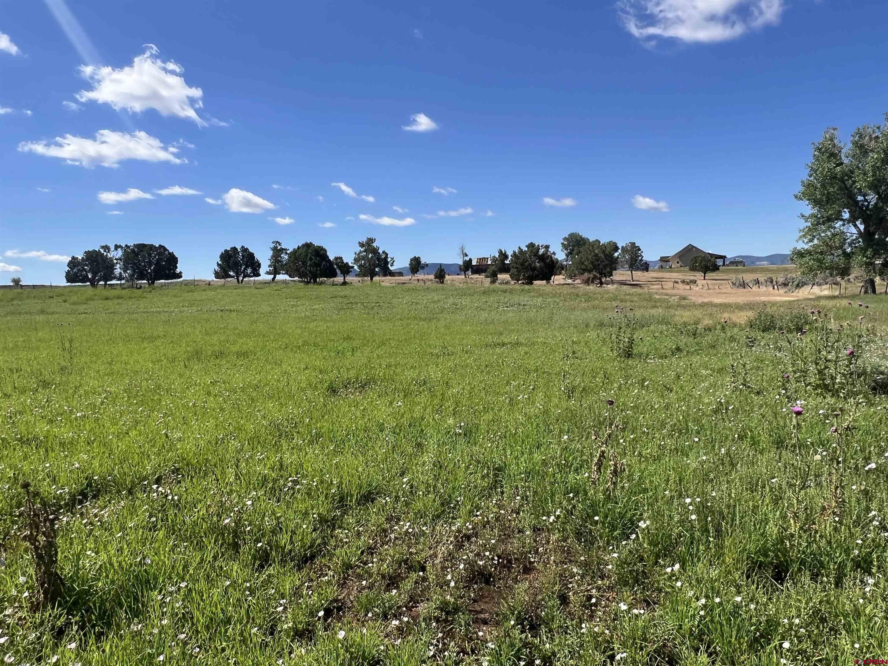 Lot 7 Road N 2 Mancos Co 81328 Mancos, CO 81328 - Photo 3 of 17 a view of an outdoor space and yard