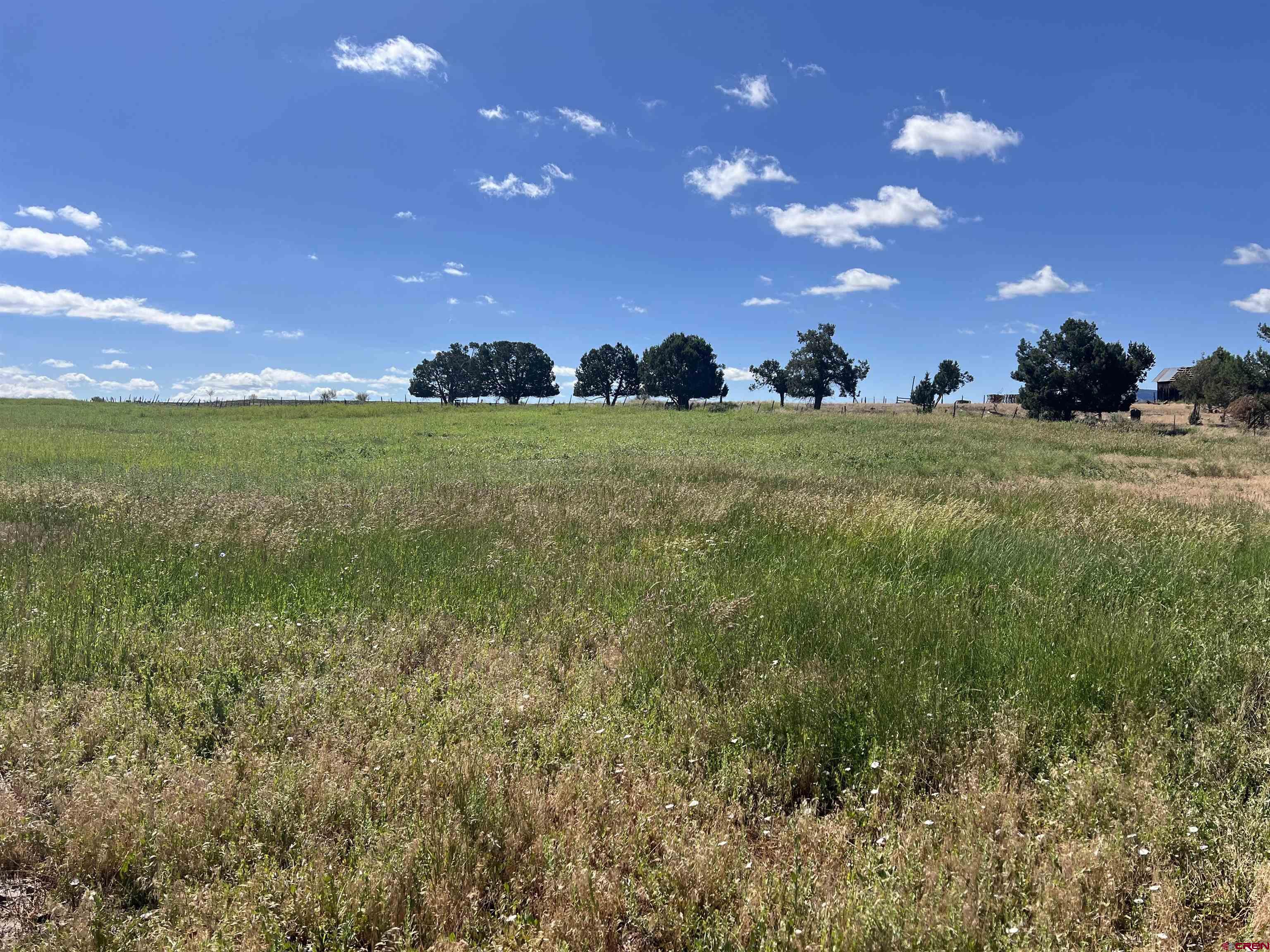 Lot 7 Road N 2 Mancos Co 81328 Mancos, CO 81328 - Photo 5 of 17 a view of outdoor space and yard