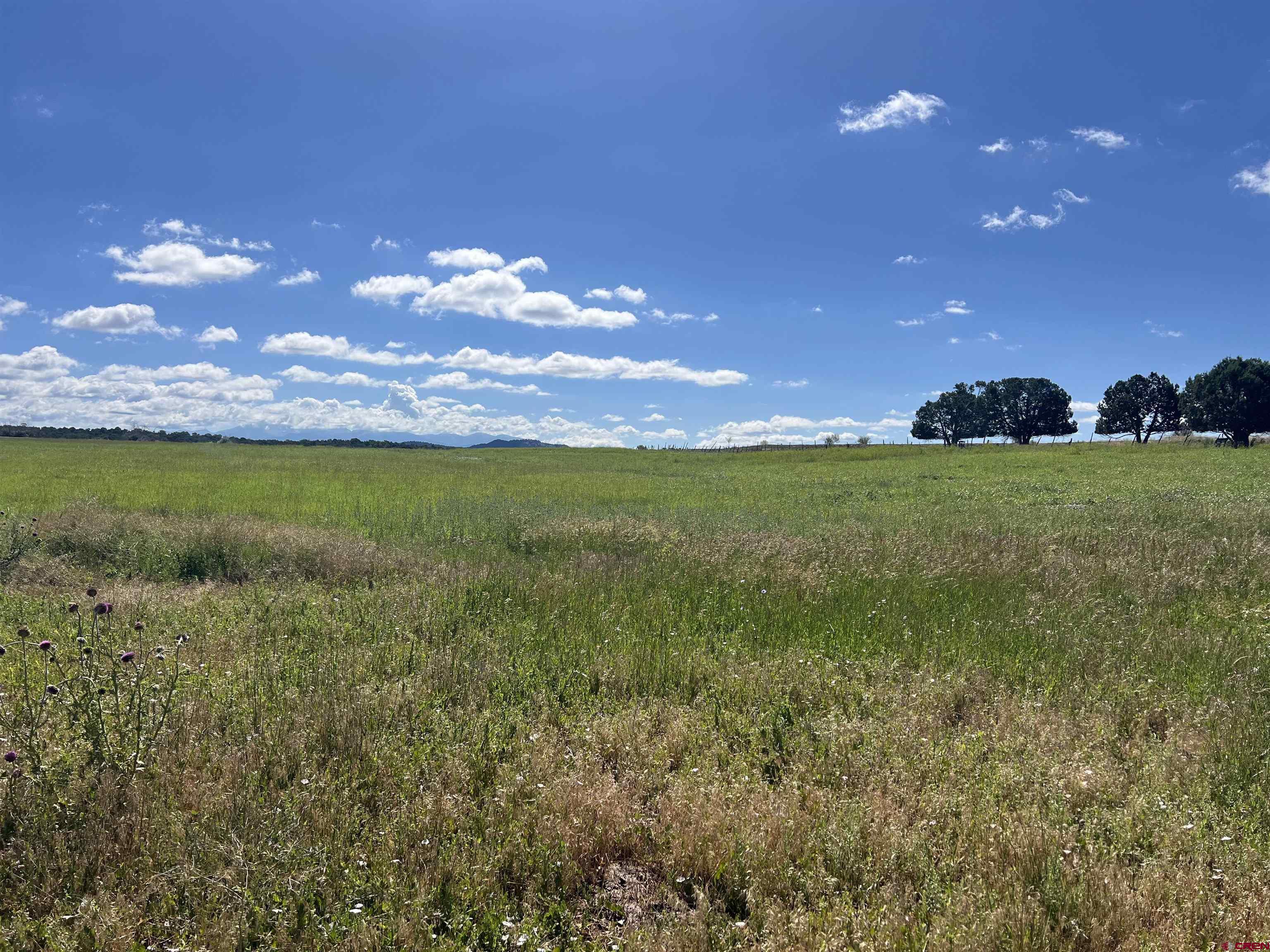 Lot 7 Road N 2 Mancos Co 81328 Mancos, CO 81328 - Photo 6 of 17 a view of a big yard with lots of green space