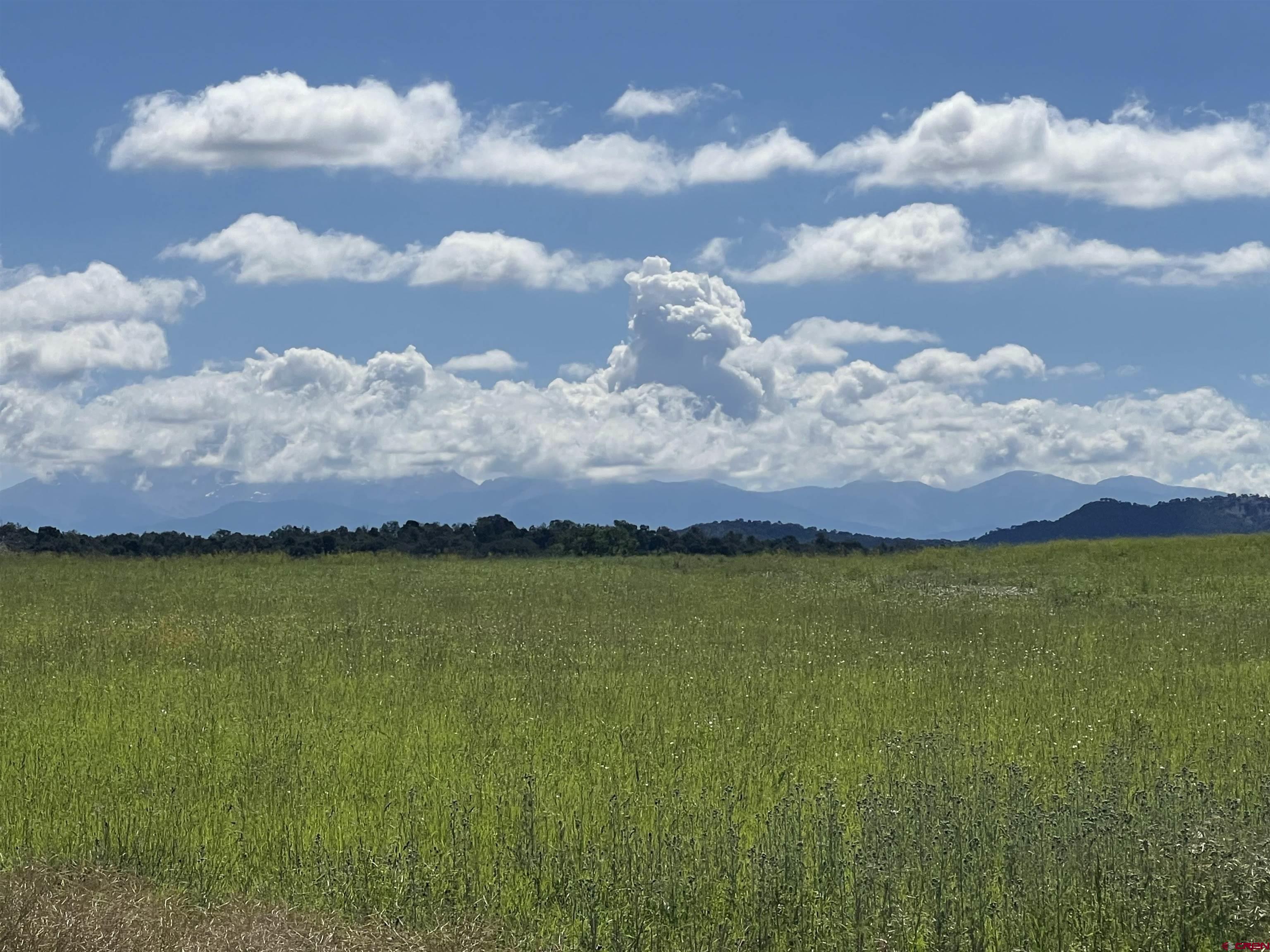 Lot 7 Road N 2 Mancos Co 81328 Mancos, CO 81328 - Photo 7 of 17