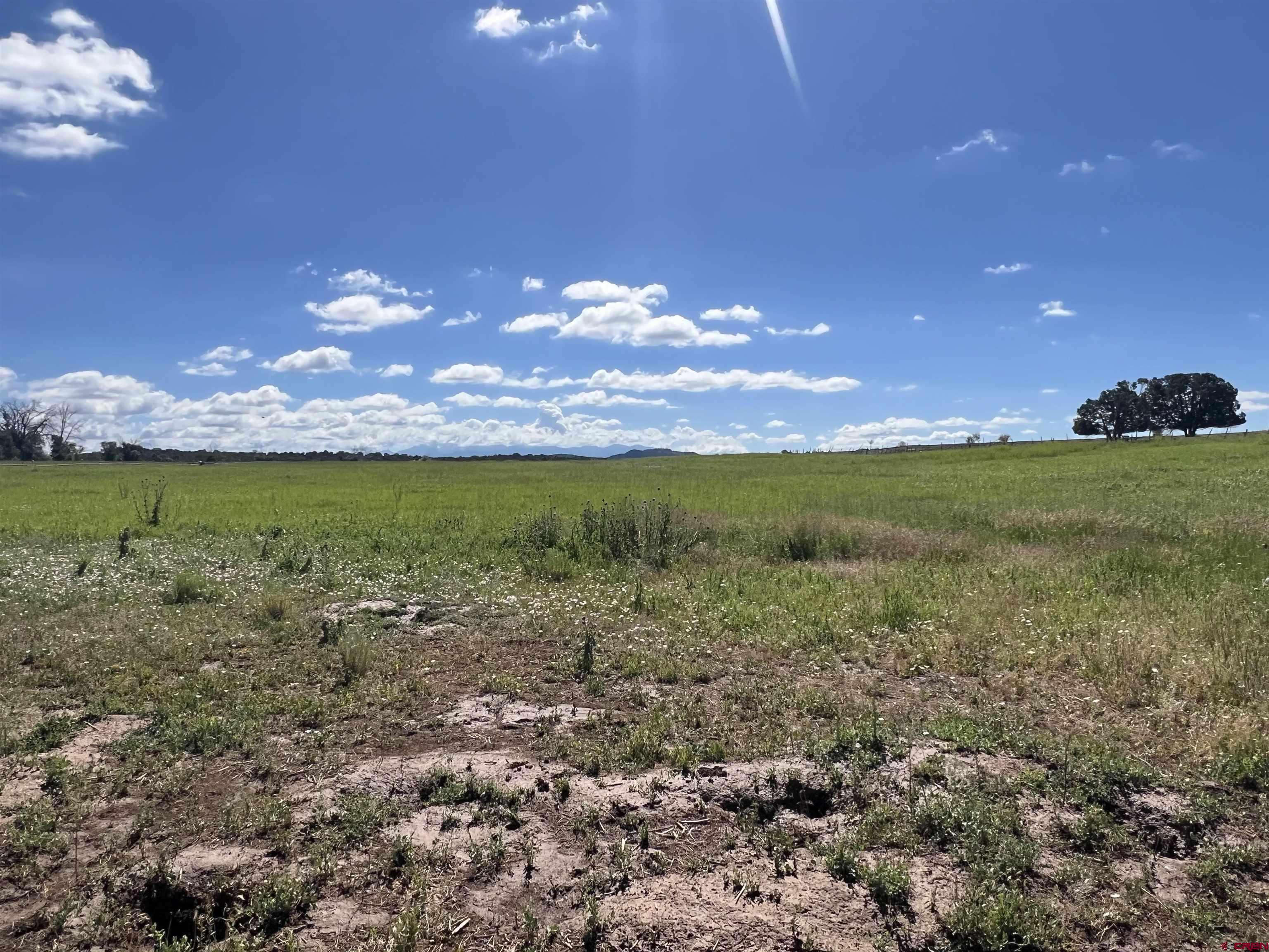 Lot 7 Road N 2 Mancos Co 81328 Mancos, CO 81328 - Photo 9 of 17 a view of a big yard with lots of green space