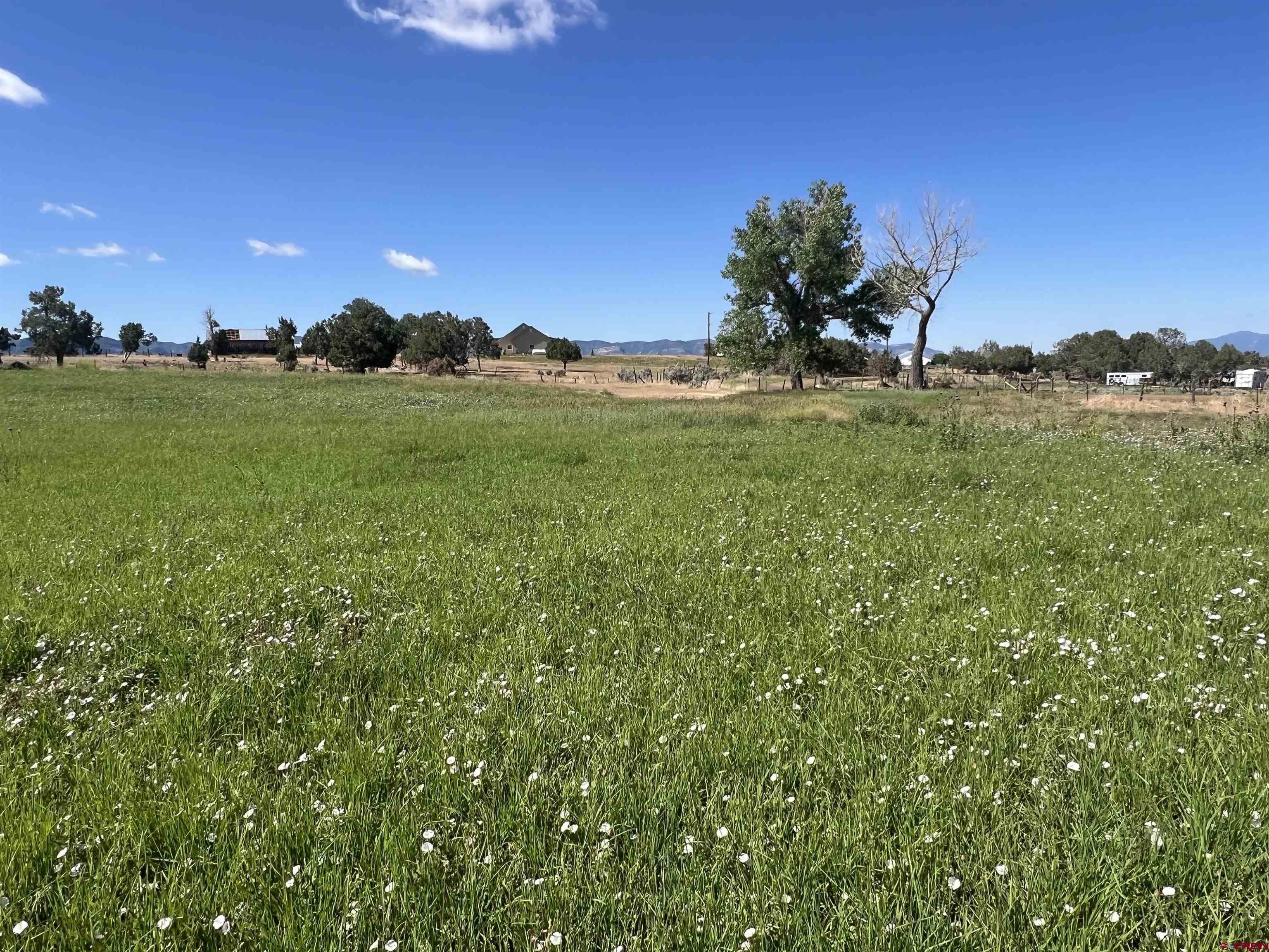 Lot 7 Road N 2 Mancos Co 81328 Mancos, CO 81328 - Photo 10 of 17 a view of an ocean