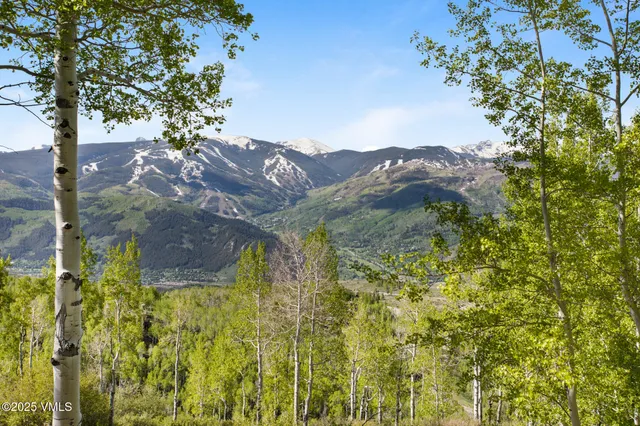 $8,150,000 | 46 Jasmine, Avon, CO 81620
