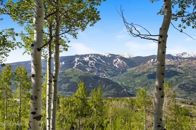 $8,150,000 | 46 Jasmine, Avon, CO 81620