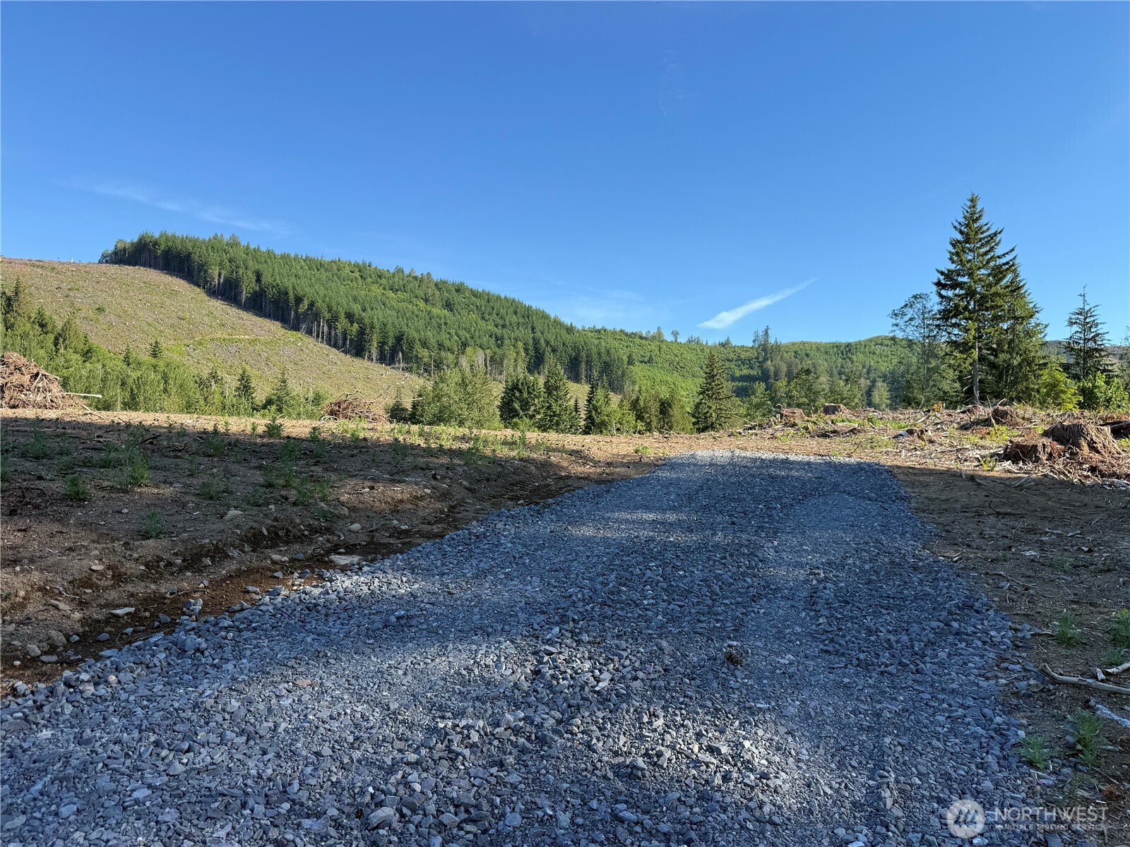 215 Mineral Road North Mineral, WA 98355 - Photo 10 of 29