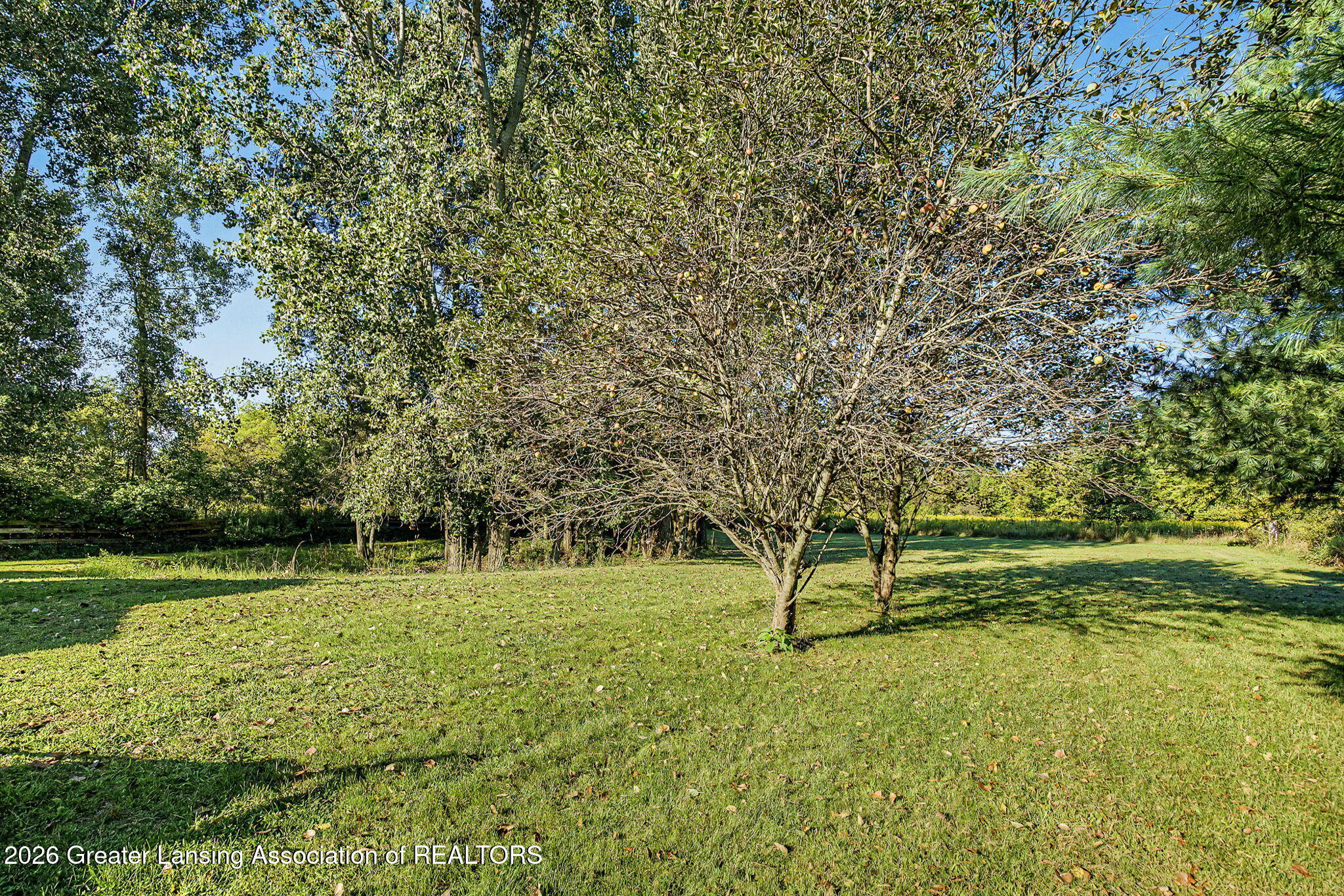 2022 Murray Road Dansville, MI 48819 - Photo 27 of 34 Property