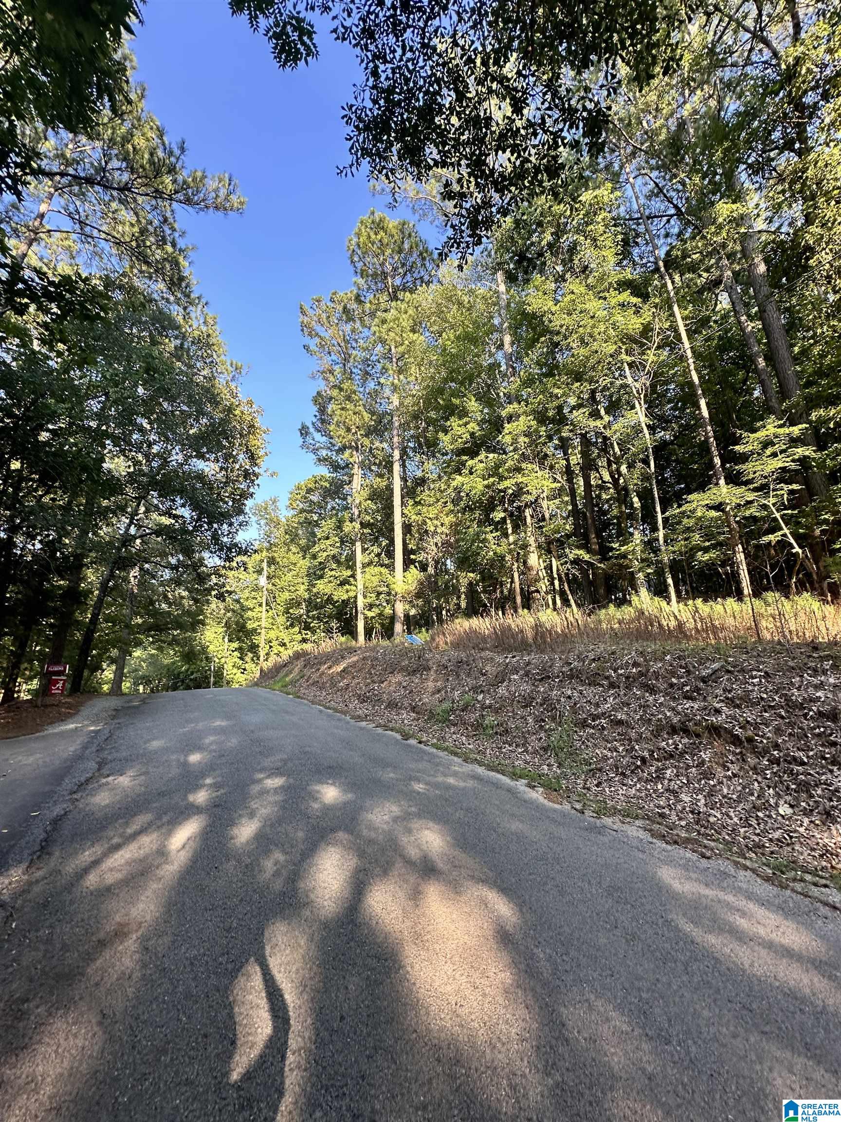 500 Black Acres Road, Unit 27 Cropwell, AL 35054 - Photo 17 of 25
