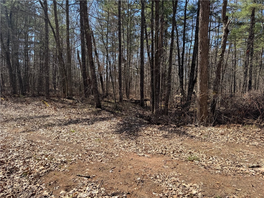 Lot 1 Gurno Lake Road Hayward, WI 54843 - Photo 24 of 32