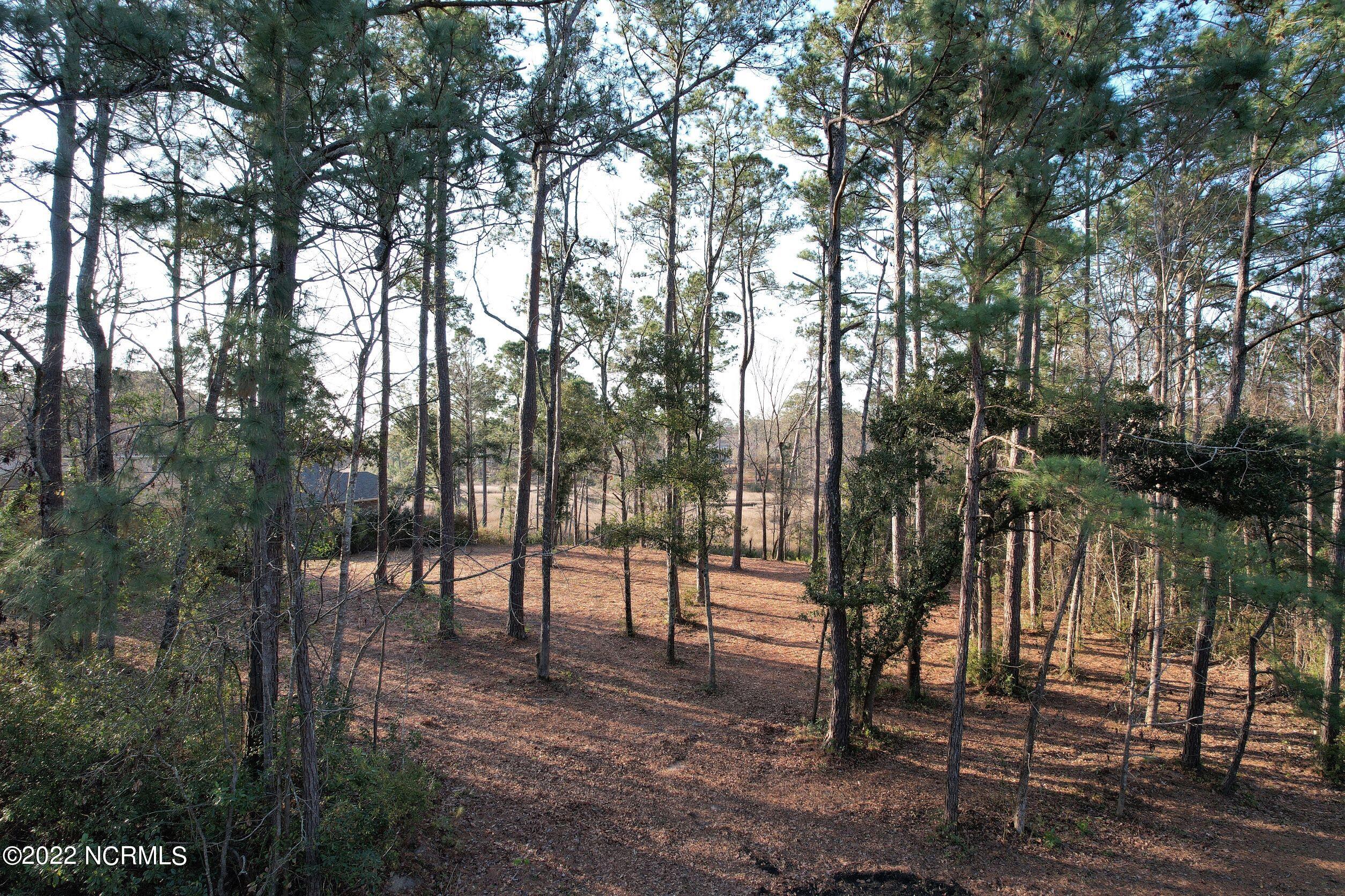 Lot 226 Mill Dam Road Hampstead, NC 28443 - Photo 11 of 13 Front of property from lower