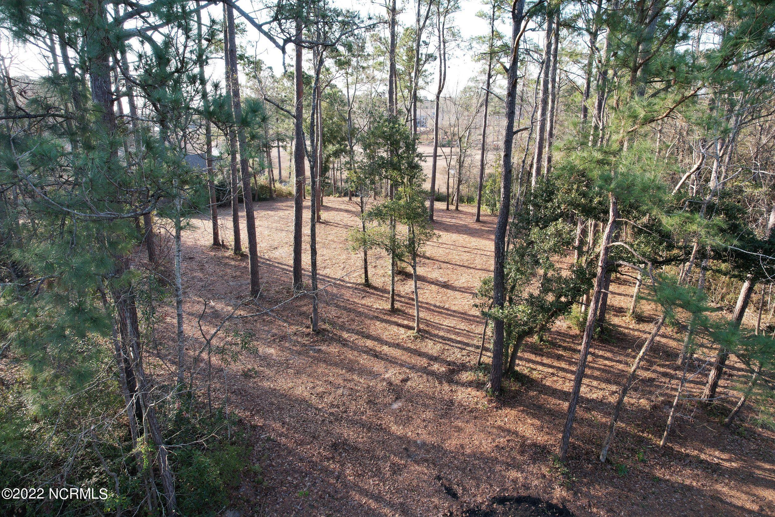 Lot 226 Mill Dam Road Hampstead, NC 28443 - Photo 12 of 13 Front of property from higher