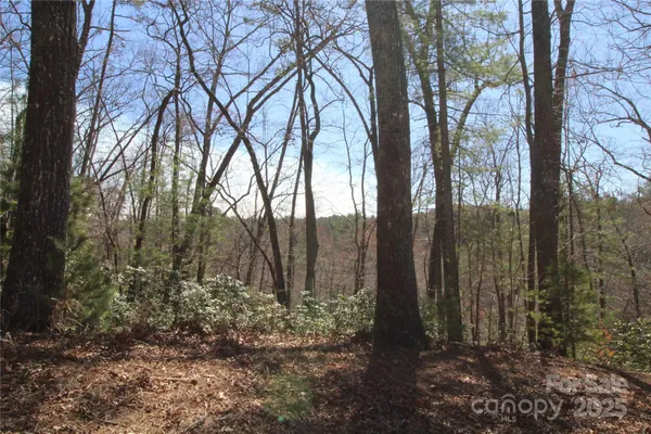 $75,000 | V/l Heartwood Forest Drive, Unit 27, Collettsville, NC 28611