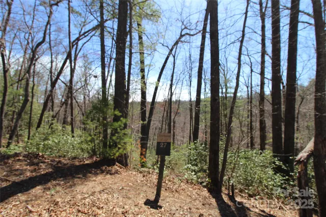 $75,000 | V/l Heartwood Forest Drive, Unit 27, Collettsville, NC 28611
