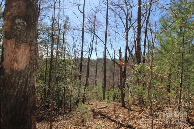 $75,000 | V/l Heartwood Forest Drive, Unit 27, Collettsville, NC 28611