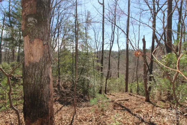 $75,000 | V/l Heartwood Forest Drive, Unit 27, Collettsville, NC 28611