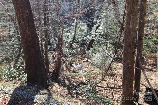 $75,000 | V/l Heartwood Forest Drive, Unit 27, Collettsville, NC 28611