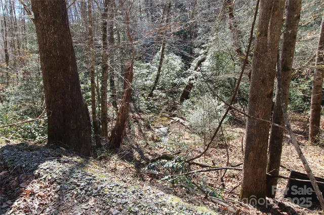 $75,000 | V/l Heartwood Forest Drive, Unit 27, Collettsville, NC 28611