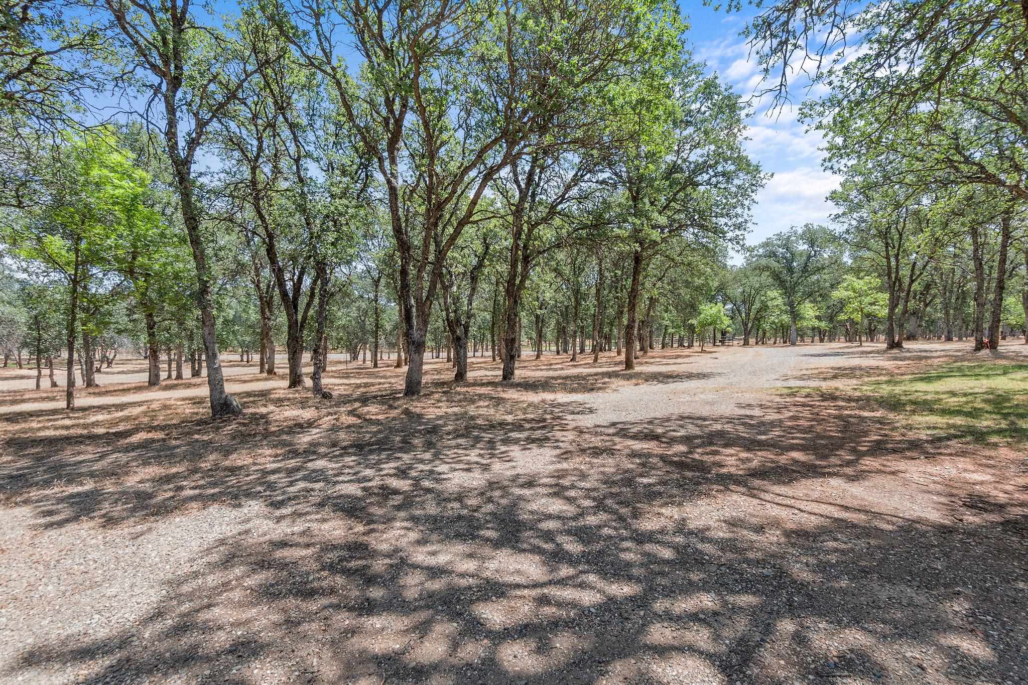 13180 Montecito Road Red Bluff, CA 96080 - Photo 69 of 75