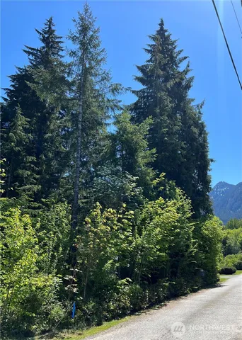 a view of a garden with plants