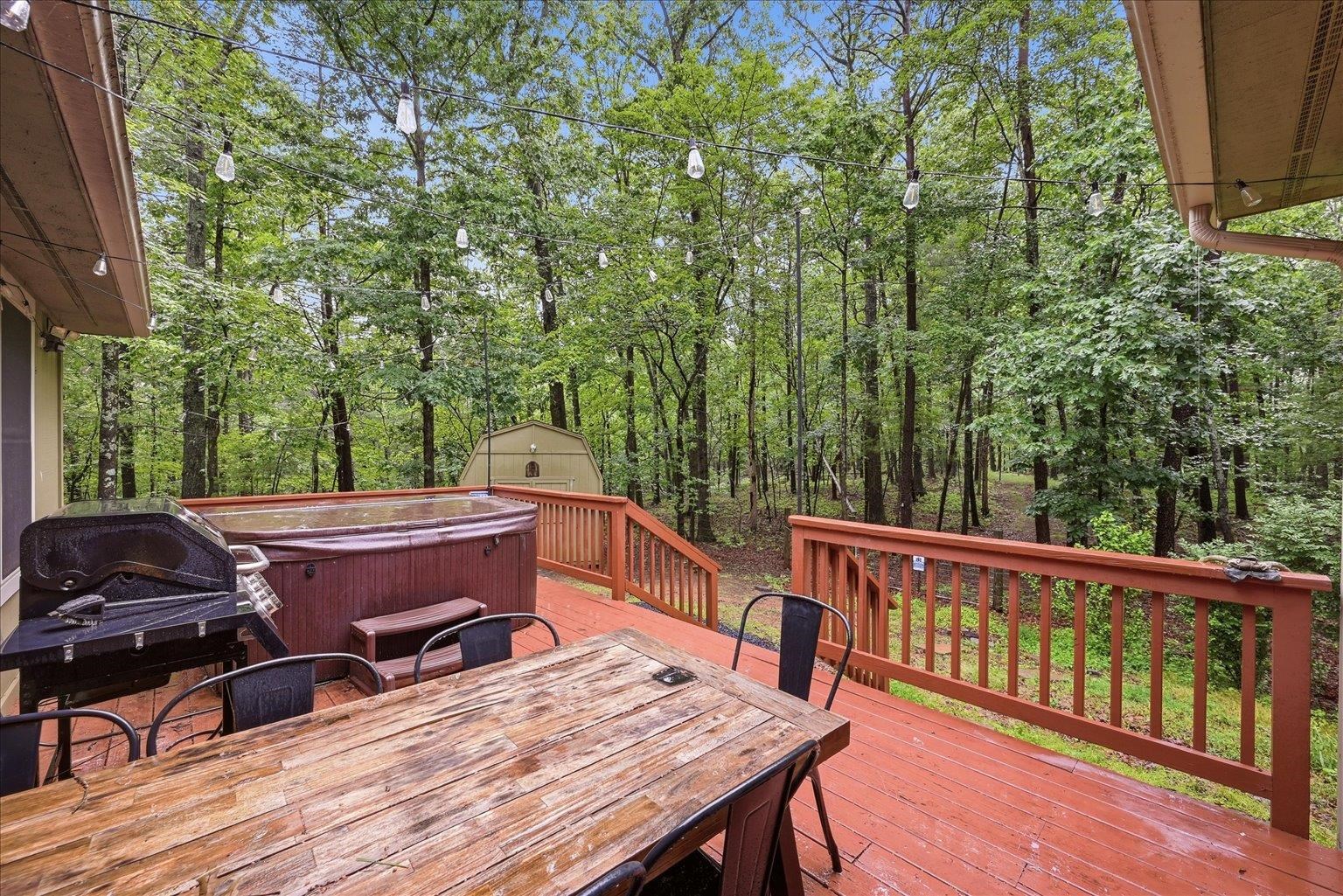 323 Palmer Road Basye, VA 22810 - Photo 35 of 49