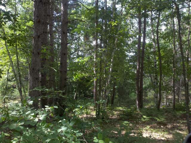 6583 Flowage Road Rhinelander, WI 54501 - Photo 11 of 11 Gallery Image 11