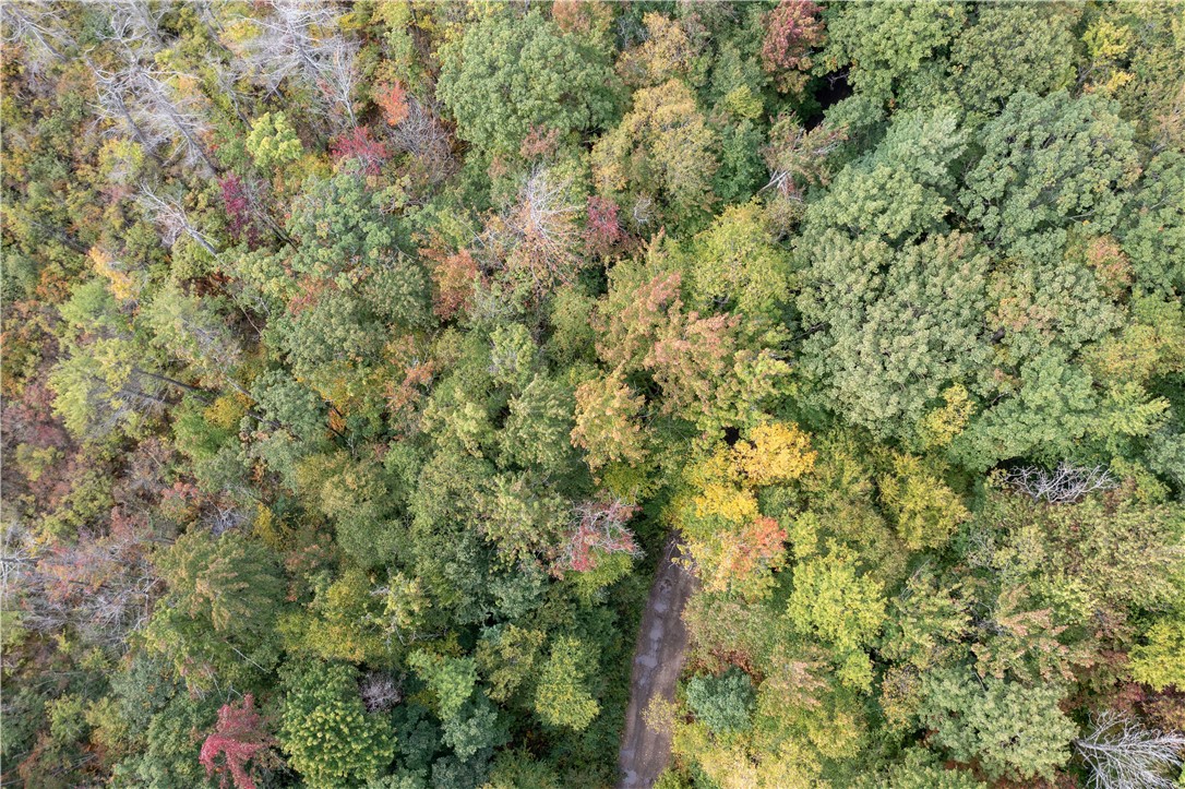 0 Chief Canesque Lane Springwater, NY 14560 - Photo 1 of 18