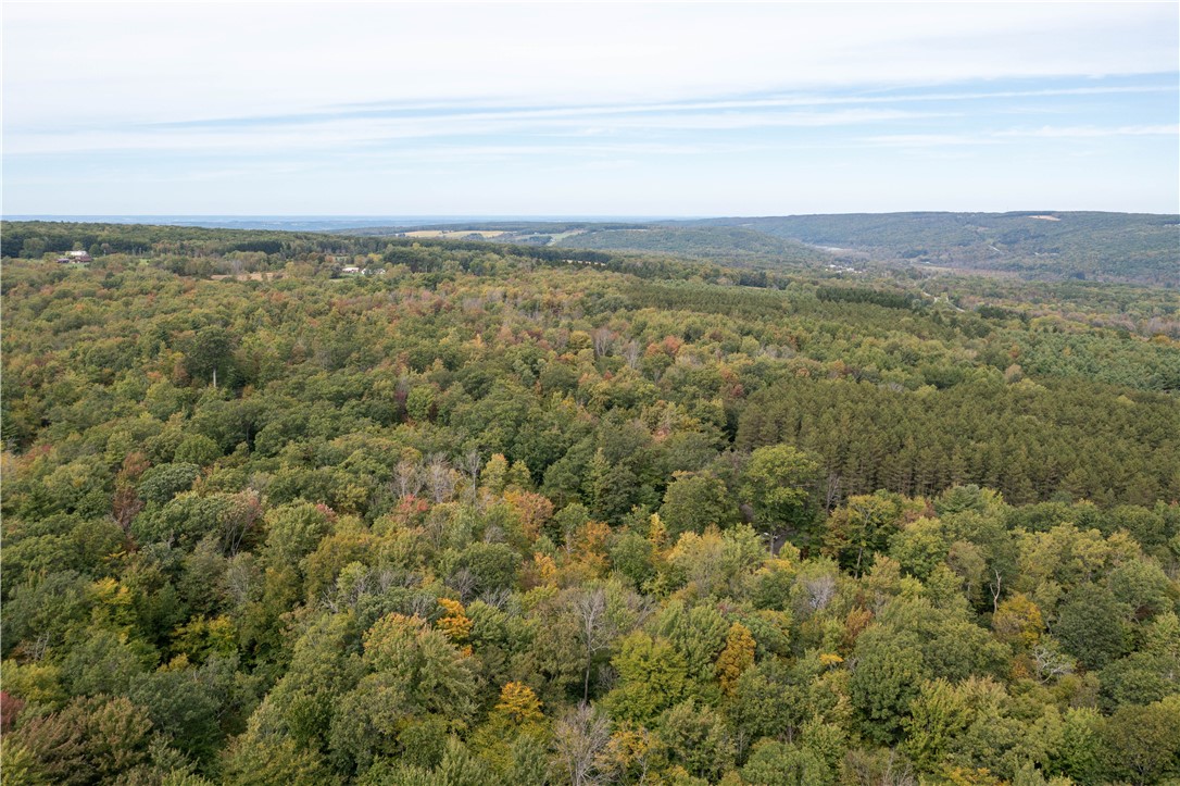 0 Chief Canesque Lane Springwater, NY 14560 - Photo 11 of 18