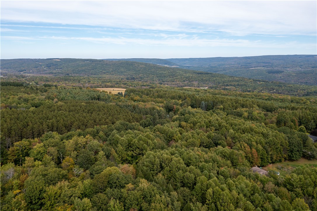 0 Chief Canesque Lane Springwater, NY 14560 - Photo 12 of 18