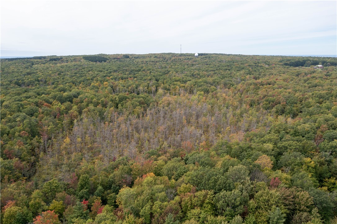 0 Chief Canesque Lane Springwater, NY 14560 - Photo 13 of 18