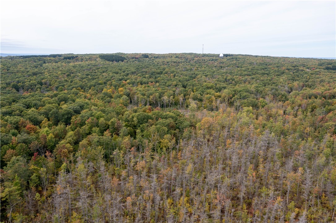 0 Chief Canesque Lane Springwater, NY 14560 - Photo 14 of 18