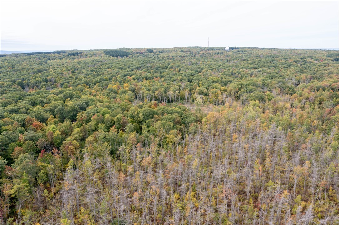 0 Chief Canesque Lane Springwater, NY 14560 - Photo 15 of 18