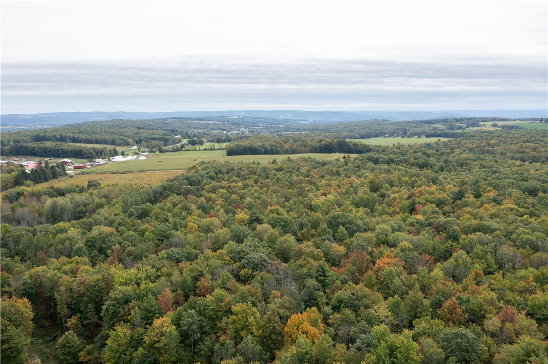0 Chief Canesque Lane Springwater, NY 14560 - Photo 16 of 18