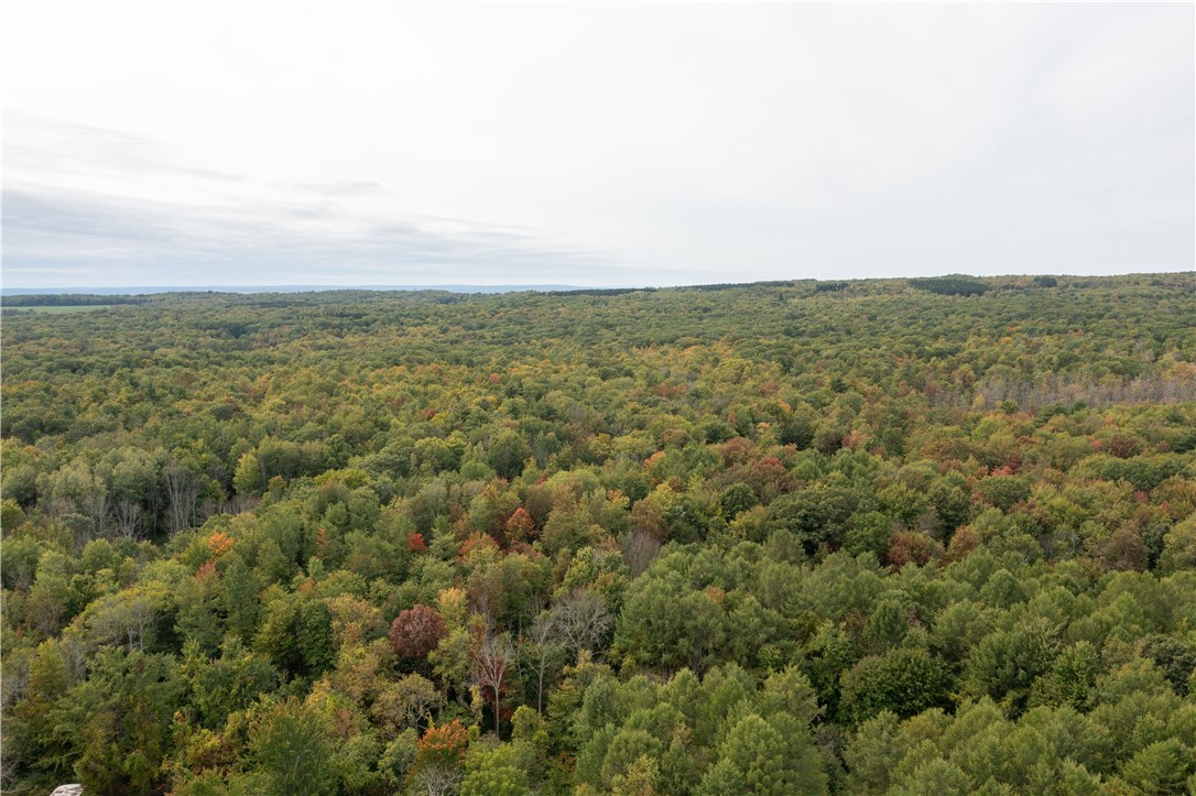 0 Chief Canesque Lane Springwater, NY 14560 - Photo 2 of 18