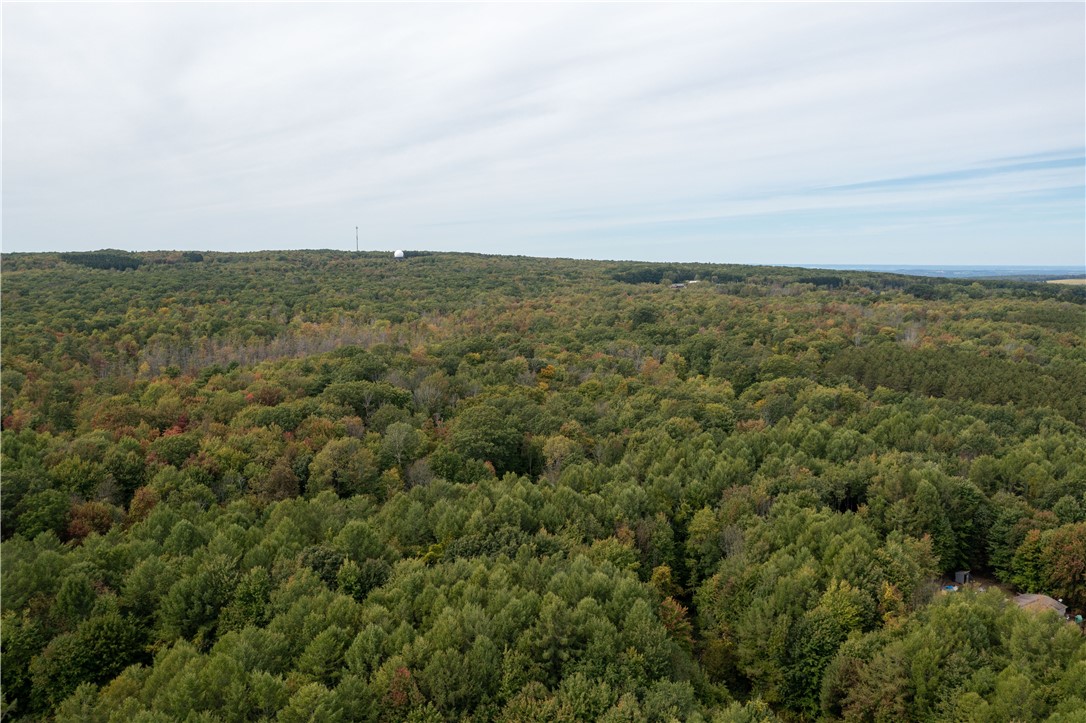 0 Chief Canesque Lane Springwater, NY 14560 - Photo 3 of 18