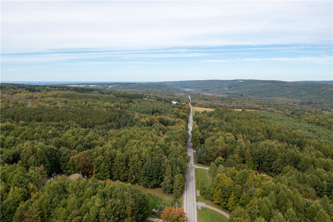 0 Chief Canesque Lane Springwater, NY 14560 - Photo 4 of 18