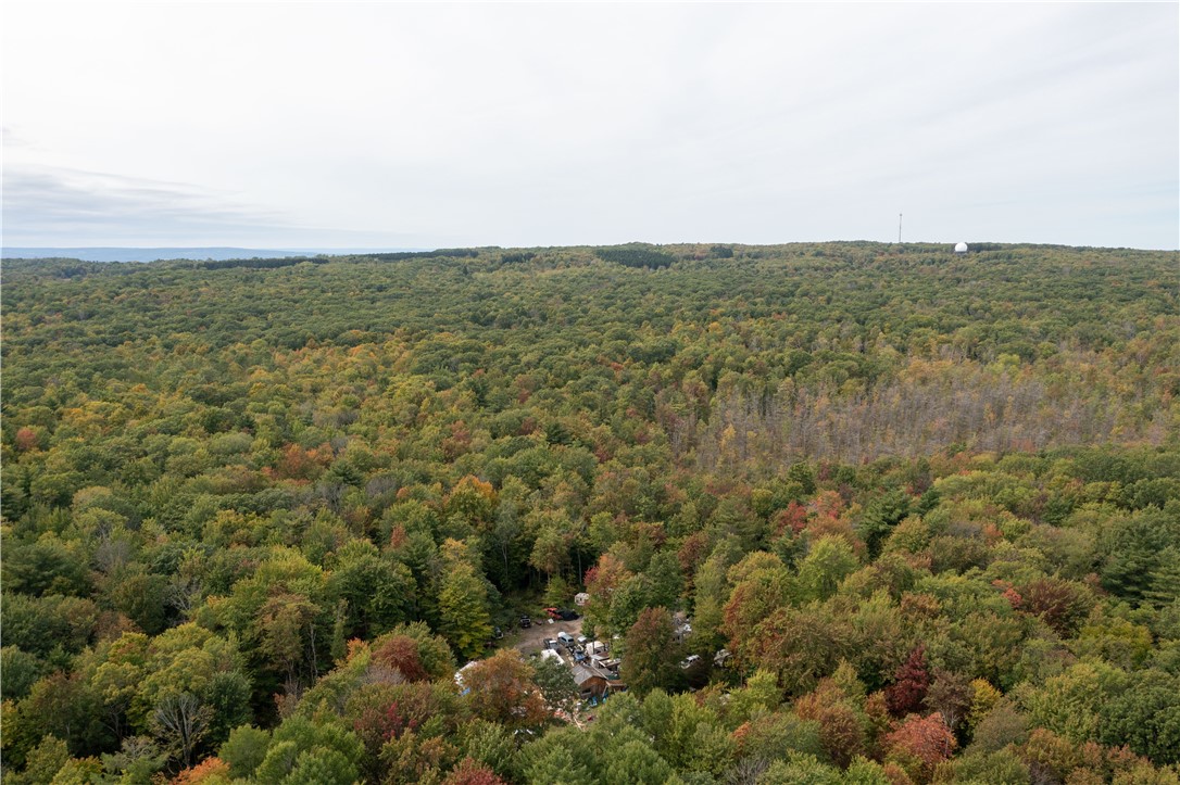 0 Chief Canesque Lane Springwater, NY 14560 - Photo 5 of 18