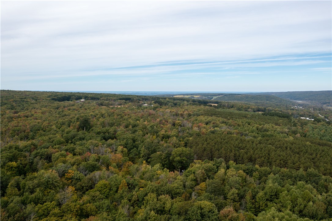 0 Chief Canesque Lane Springwater, NY 14560 - Photo 7 of 18