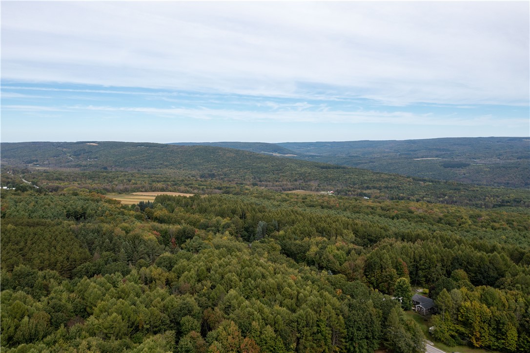 0 Chief Canesque Lane Springwater, NY 14560 - Photo 8 of 18