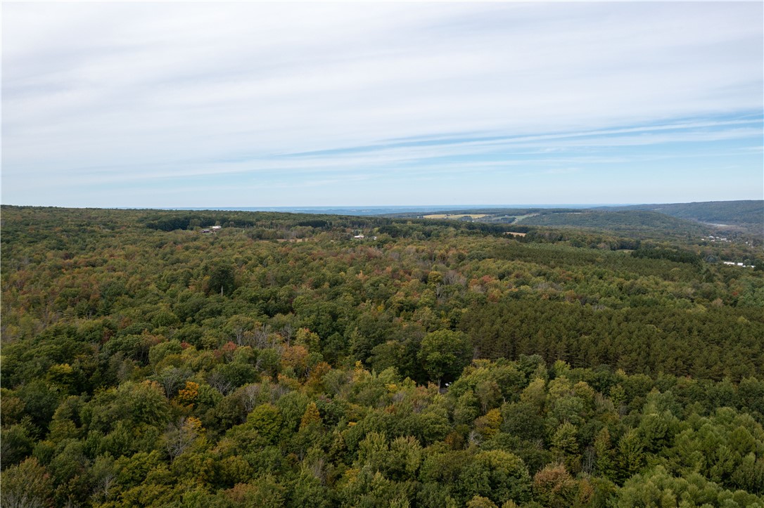 0 Chief Canesque Lane Springwater, NY 14560 - Photo 9 of 18