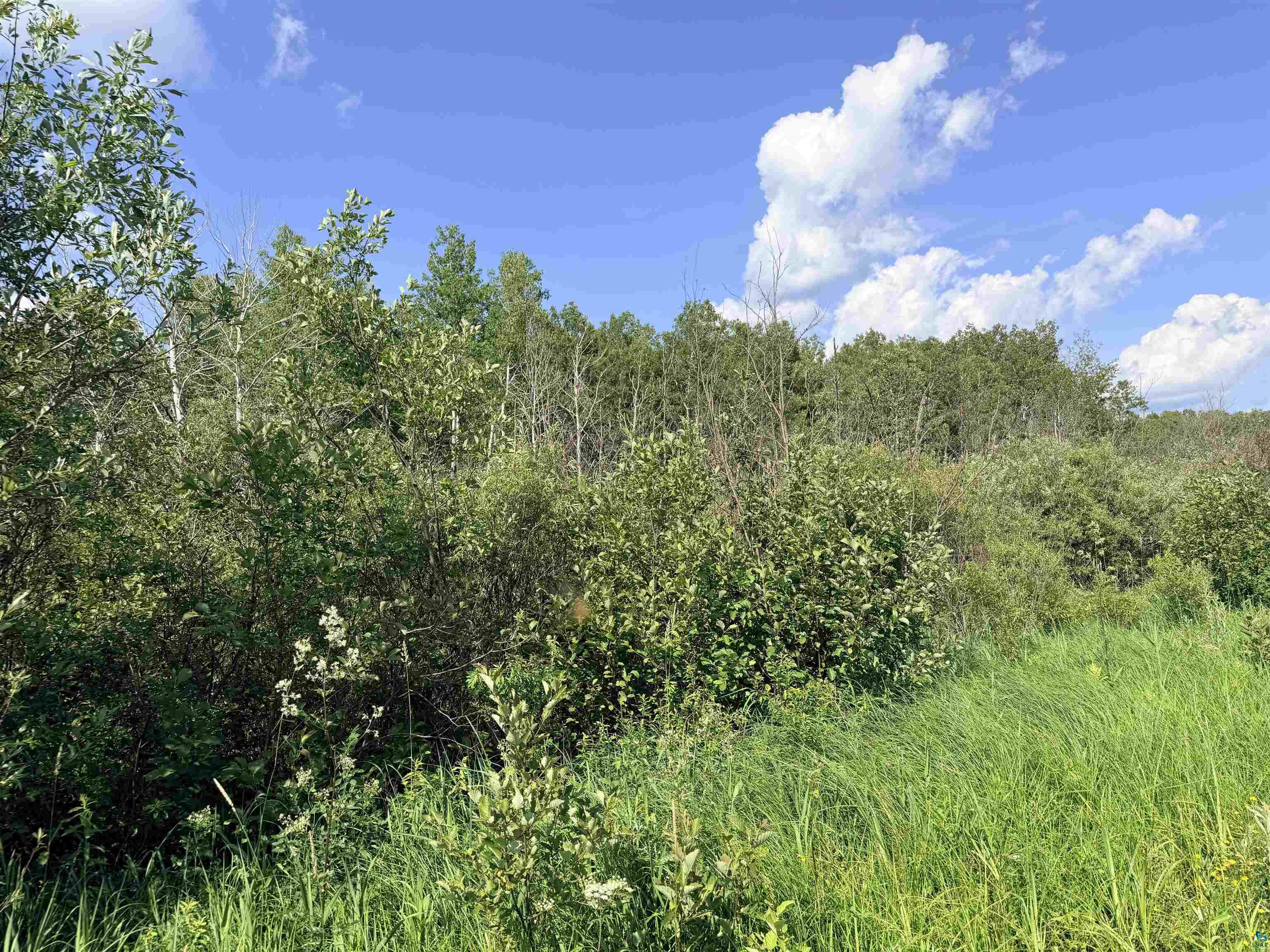 12-xxx Butterfield Road Hibbing, MN 55746 - Photo 6 of 12