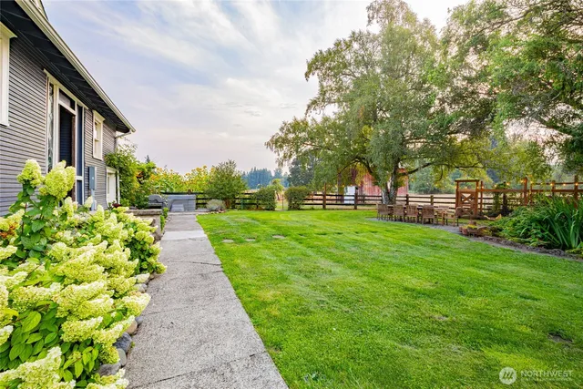 a view of a garden with plants and large trees