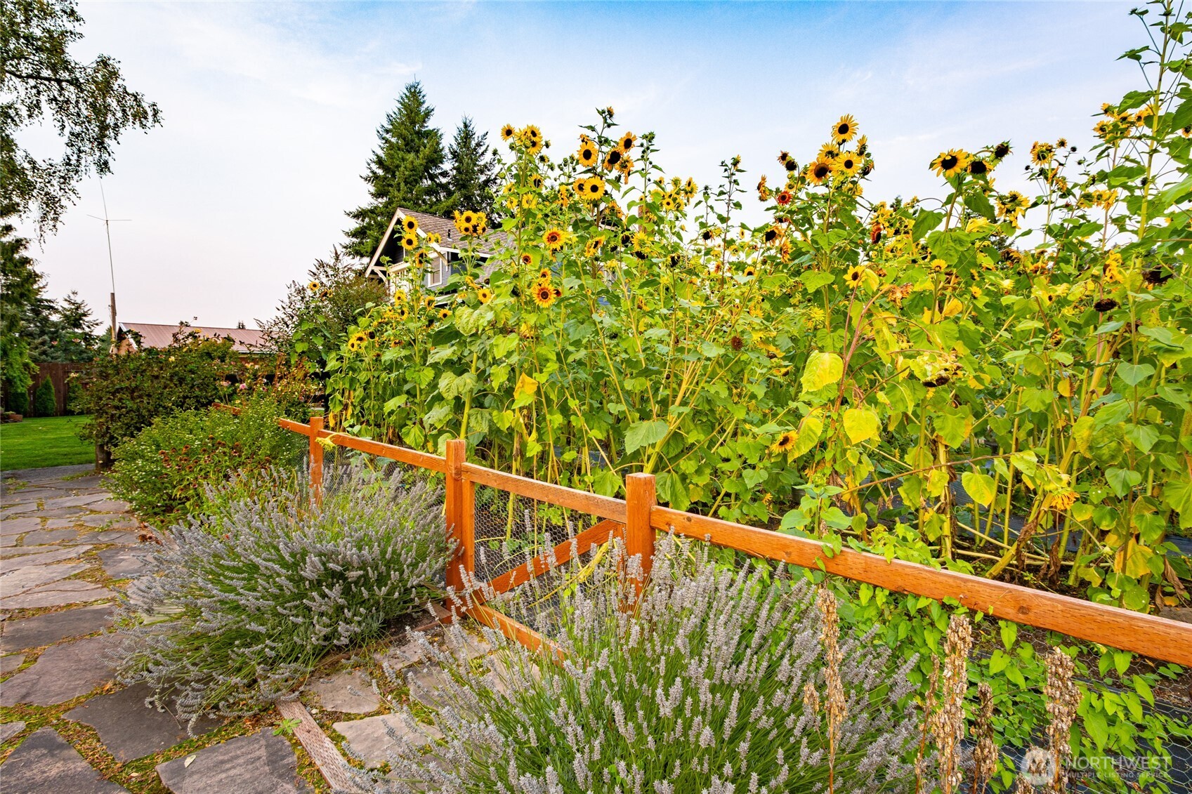 28312 86th Avenue South Roy, WA 98580 - Photo 33 of 39