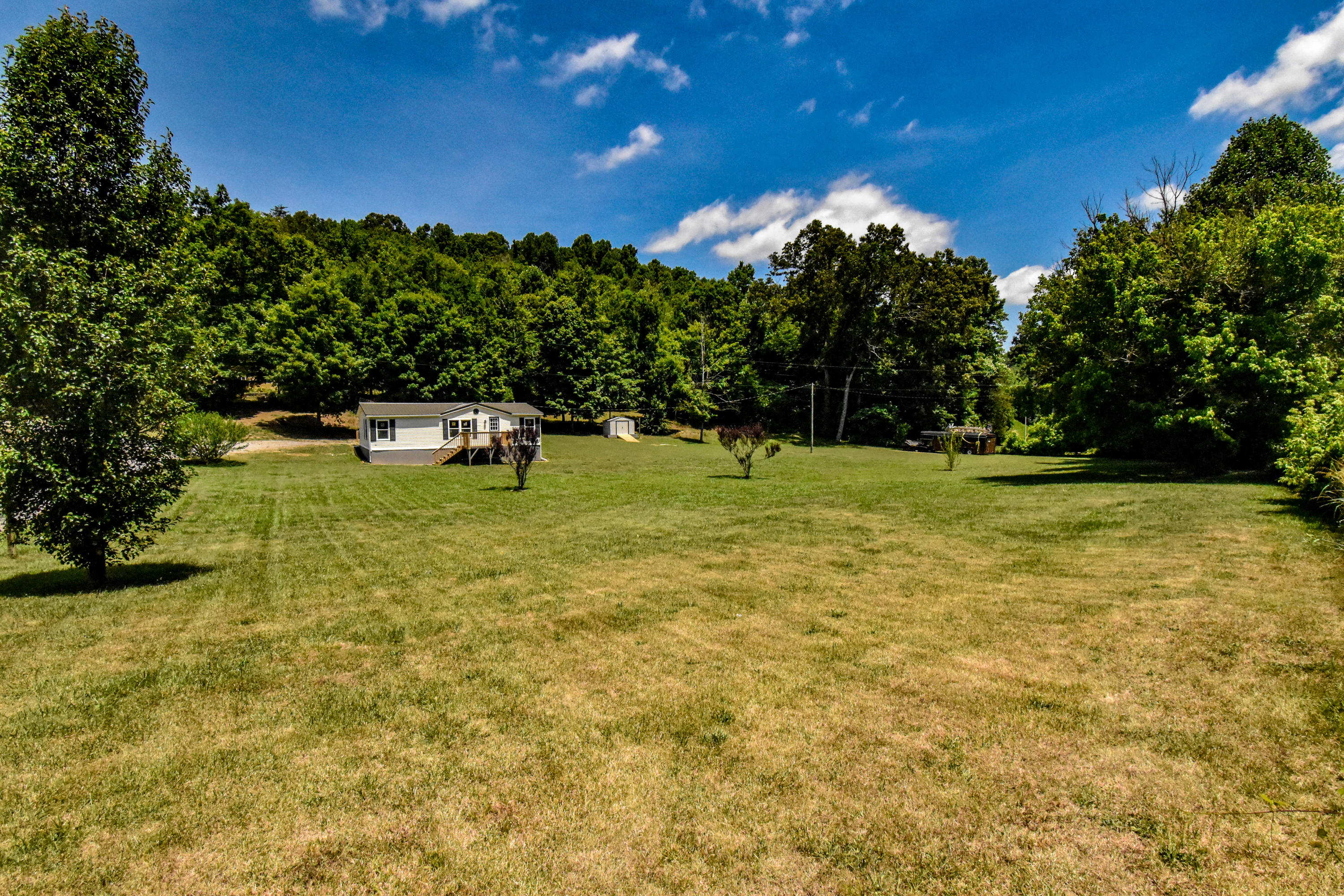 265 Archer Road Luttrell, TN 37779 - Photo 7 of 27 Large Yard