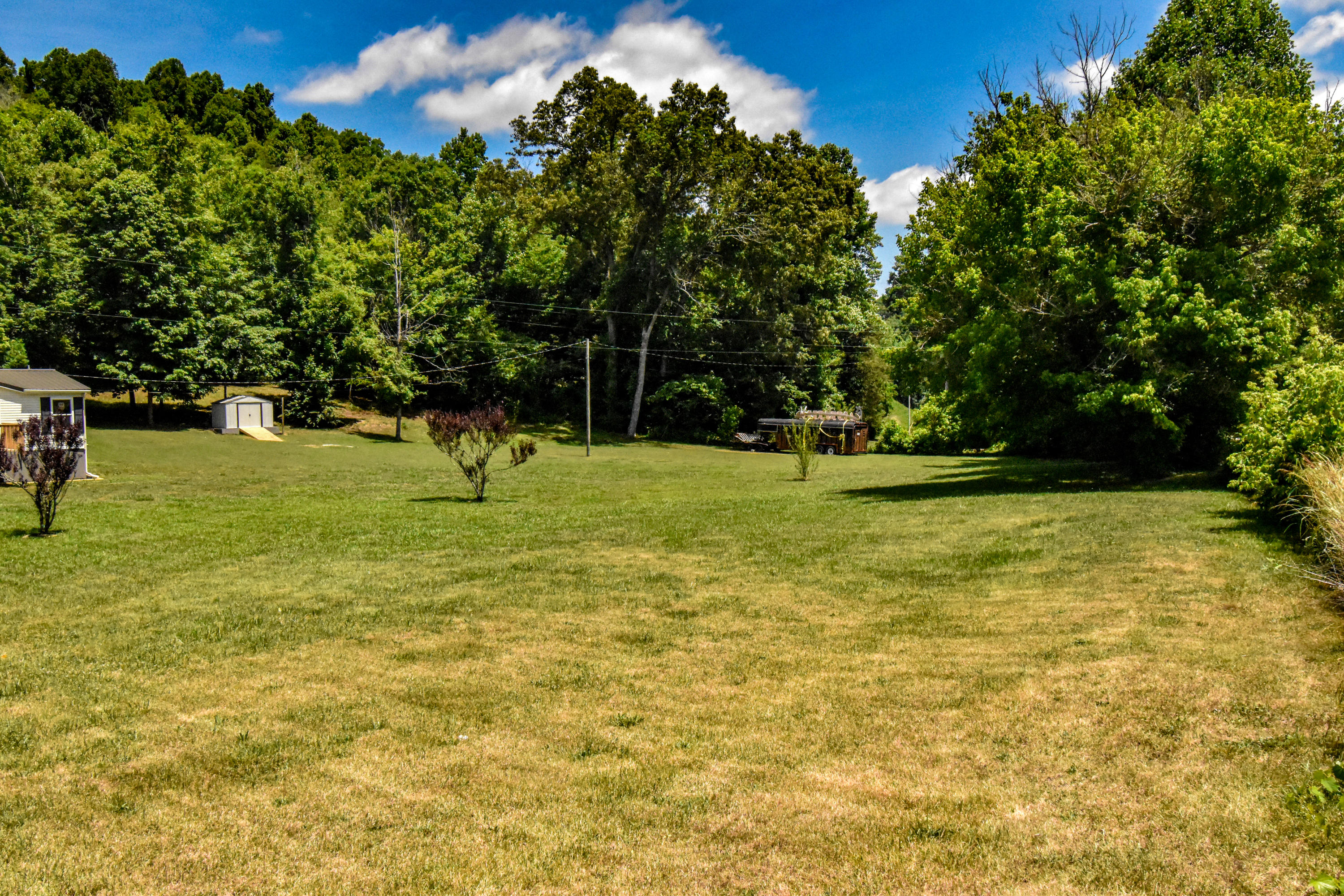 265 Archer Road Luttrell, TN 37779 - Photo 8 of 27 Spacious Yard