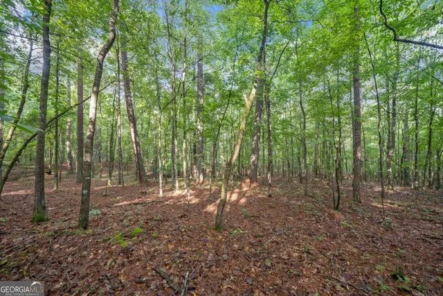 $4,300,000 | 0 Brock Trail, Unit 3 4 5, Milton, GA 30004